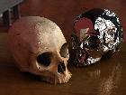 Skulls.jpg