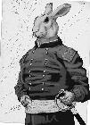 general_pepper.jpg
